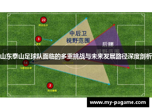 山东泰山足球队面临的多重挑战与未来发展路径深度剖析 山东泰山足球队面临的多重挑战与未来发展路径深度剖析