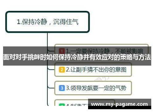 面对对手挑衅时如何保持冷静并有效应对的策略与方法