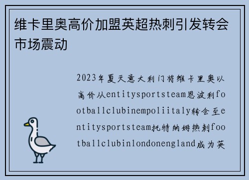 维卡里奥高价加盟英超热刺引发转会市场震动 维卡里奥高价加盟英超热刺引发转会市场震动