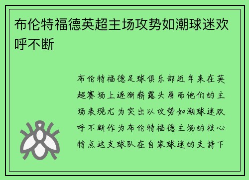 布伦特福德英超主场攻势如潮球迷欢呼不断
